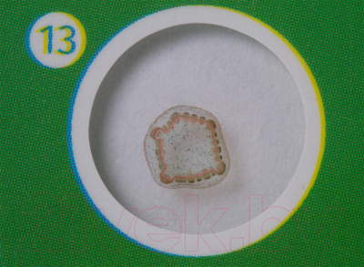 Набор микропрепаратов Levenhuk LabZZ P12 / 72869