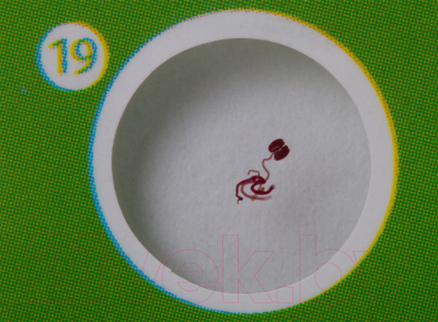 Набор микропрепаратов Levenhuk LabZZ P12 / 72869