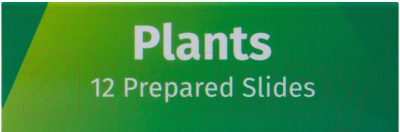 Набор микропрепаратов Levenhuk LabZZ P12 / 72869