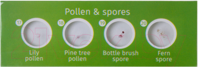 Набор микропрепаратов Levenhuk LabZZ CP24 / 72870