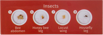 Набор микропрепаратов Levenhuk LabZZ CP24 / 72870