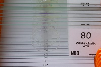 Набор микропрепаратов Levenhuk N80 NG Увидеть все! / 29280