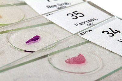 Набор микропрепаратов Levenhuk N80 NG Увидеть все! / 29280