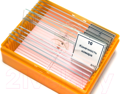 Набор микропрепаратов Levenhuk N10 NG / 29279