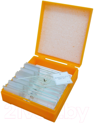 Набор микропрепаратов Levenhuk N10 NG / 29279