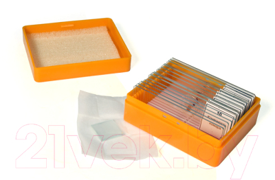 Набор микропрепаратов Levenhuk N10 NG / 29279