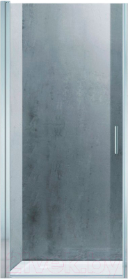 Душевая дверь Adema НАП-80 / NAP-80 (прозрачное стекло) - фото