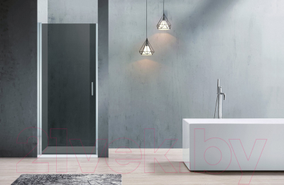 Душевая дверь Adema НАП-80 / NAP-80 (тонированное стекло)