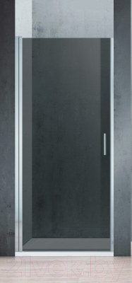 Душевая дверь Adema НАП-80 / NAP-80 (тонированное стекло)