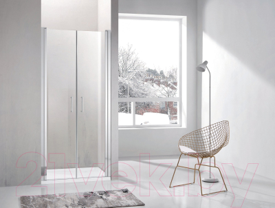 Душевая дверь Adema НАП ДУО-100 / NAP DUO-100 (прозрачное стекло)
