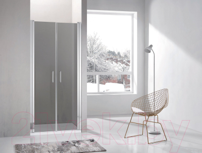 Душевая дверь Adema НАП ДУО-90 / NAP DUO-90 (тонированное стекло)