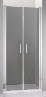 Душевая дверь Adema НАП ДУО-90 / NAP DUO-90 (тонированное стекло)
