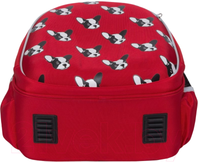 Школьный рюкзак Grizzly RAz-086-15