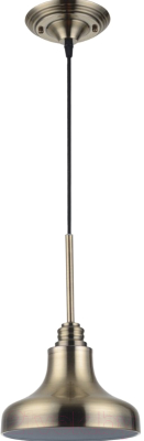 Люстра Lussole Loft Sona GRLSL-3006-01 - фото