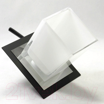 Потолочный светильник Lussole Loft Lente GRLSC-2500-01