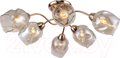 Люстра Lussole LGO Cochise GRLSP-8086 - фото