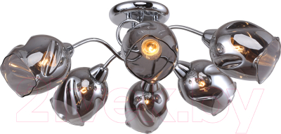 Люстра Lussole LGO Cochise GRLSP-8087 - фото