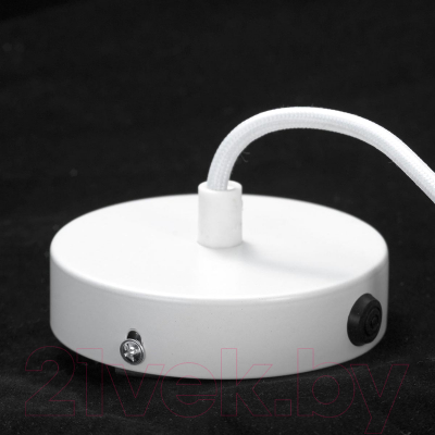 Потолочный светильник Lussole Loft Cuscino GRLSP-8361