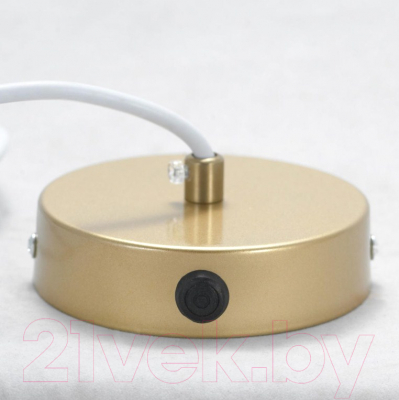 Потолочный светильник Lussole Loft Ondulati LSP-8352