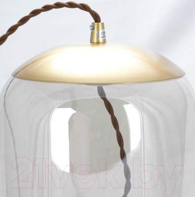 Потолочный светильник Lussole Loft Acquario LSP-8355