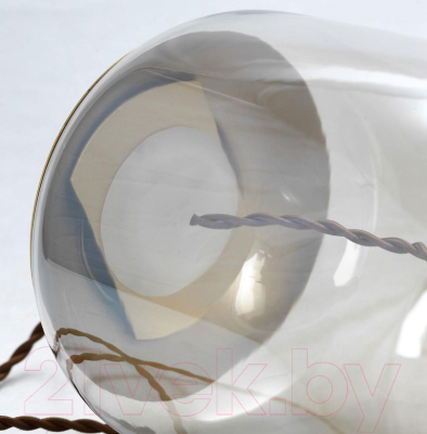 Потолочный светильник Lussole Loft Acquario LSP-8355