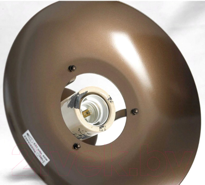 Потолочный светильник Lussole Loft Vermilion GRLSP-8161