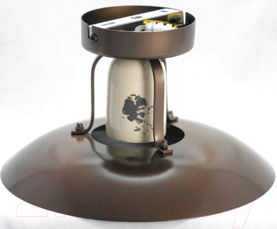 Потолочный светильник Lussole Loft Vermilion GRLSP-8161