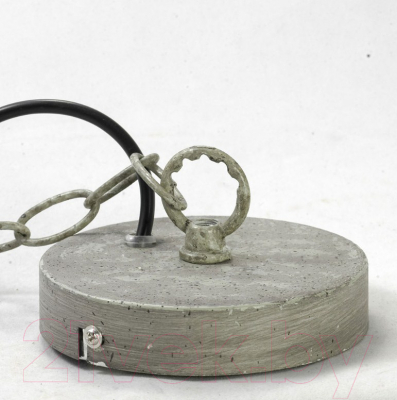 Потолочный светильник Lussole Loft Northport GRLSP-9524