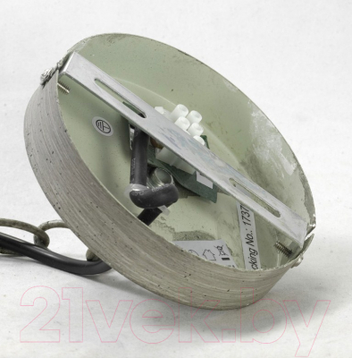 Потолочный светильник Lussole Loft Northport GRLSP-9524