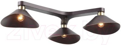 Люстра Lussole Loft Opelika GRLSP-9534 - фото