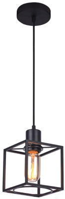 Потолочный светильник Lussole Loft Badger GRLSP-9540 - фото