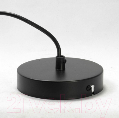 Потолочный светильник Lussole Loft Badger GRLSP-9540