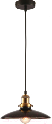 Потолочный светильник Lussole Loft Glen Cove GRLSP-9604 - фото