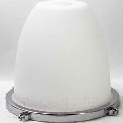 Потолочный светильник Lussole Loft Monsey GRLSP-9613