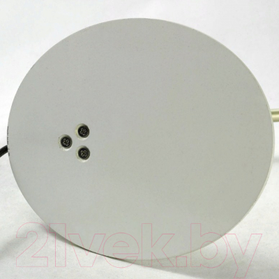 Настольная лампа Lussole Loft Roma GRLST-4374-01