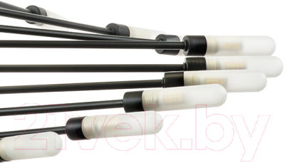 Люстра Lightstar Ragno 733247