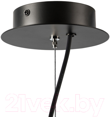 Люстра Lightstar Ragno 733247