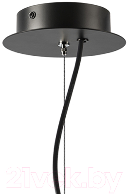 Люстра Lightstar Ragno 733127