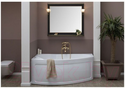 Экран для ванны Aquanet Jersey Sofia L/R 170