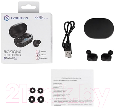 Беспроводные наушники Evolution BH203
