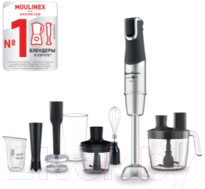 Блендер погружной Moulinex DD95MD10