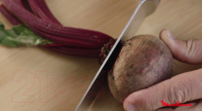 Блендер погружной Moulinex DD95MD10