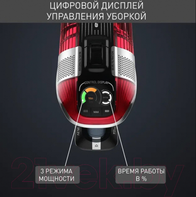 Вертикальный пылесос Tefal TY9879WO