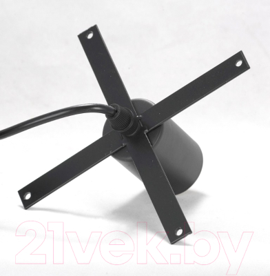 Потолочный светильник Lussole Lgo Bossier LSP-8273