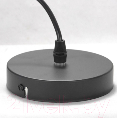 Потолочный светильник Lussole Lgo Bossier LSP-8273