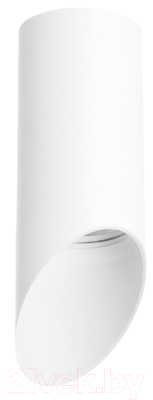 Точечный светильник Lightstar Rullo R43636 - фото