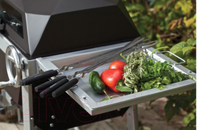 Набор шампуров Forester RZ-60WB