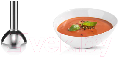 Блендер погружной Bosch MSM26500