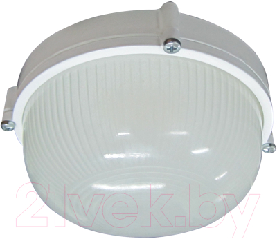 Светильник ЖКХ Элетех Банник 1301 НПП 03-60-013 / 1005500934 - фото