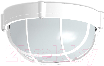 Светильник ЖКХ Элетех Банник 1302 НПП 03-60-014 / 1005500936 - фото